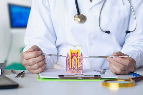 Best Dentist for Tooth Abscess  in Hawaiian Acres, HI